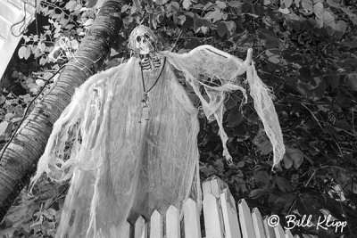 Haunted House, Key West  3