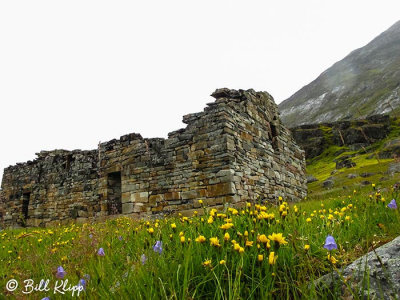 Hvalsey Viking Ruins  2
