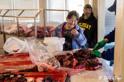 Seal Meat & Fish Market, Ilulissat  1
