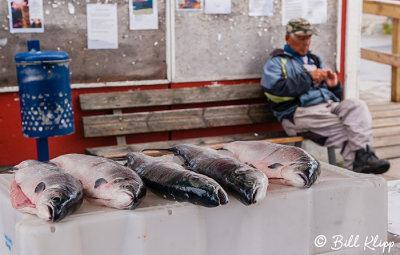 Fish Market, Qaqortoq, Greenland  2