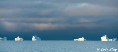 Icebergs, Ilulissat Disko Bay  6