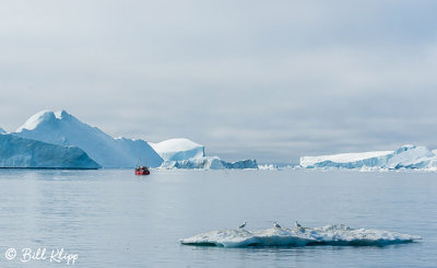 Icebergs, Ilulissat Disko Bay  11