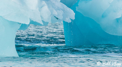 Icebergs, Philpots Island  1