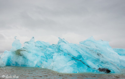Icebergs, Jokulsarlon Lagoon  3