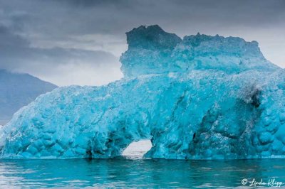 Icebergs, Jokulsarlon Lagoon  7