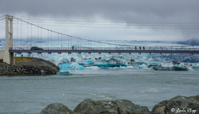 Jokulsarlon Lagoon  12