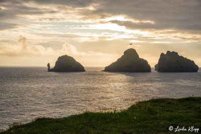 Westman Islands  1