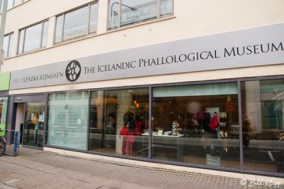 Phallas Museum, Reykjavik 