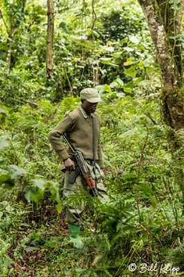 Anti-Poaching Guard, Volcanoes National Park  5