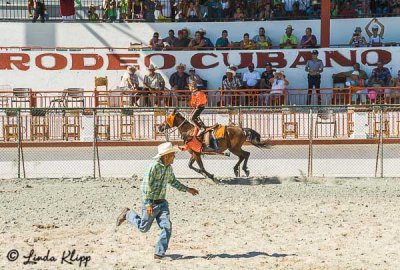 Trick Riding, Cuban Rodeo  3