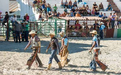 Bull Riders, Cuban Rodeo  1