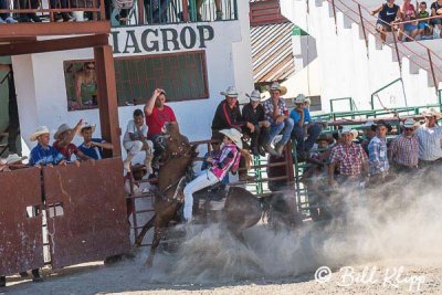 Barrel Racing, Cuban Rodeo 4