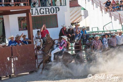 Barrel Racing, Cuban Rodeo  4