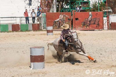 Barrel Racing, Cuban Rodeo  1