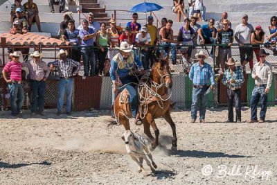 Calf Roping, Cuban Rodeo 1