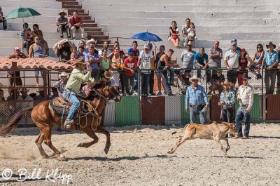 Calf Roping, Cuban Rodeo 4