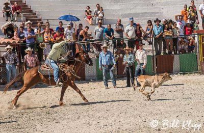 Calf Roping, Cuban Rodeo 5