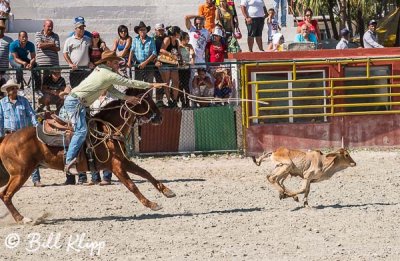 Calf Roping, Cuban Rodeo 7