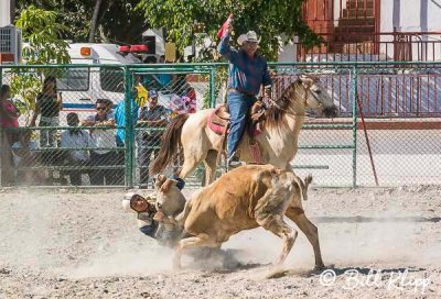 Steer Wrestling, Cuban Rodeo  2 