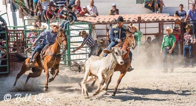 Steer-tailing, Cuban Rodeo  1 