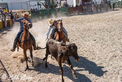 Steer-tailing, Cuban Rodeo  3