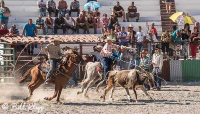 Steer Wrestling, Cuban Rodeo  3