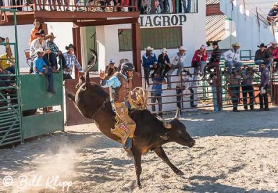 Bull Riding, Cuban Rodeo 1