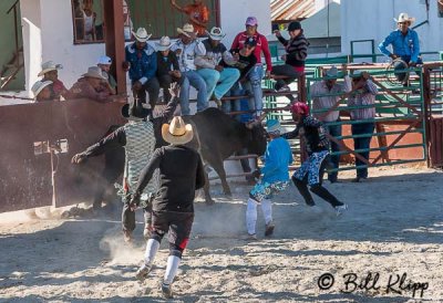 Bull Riding, Cuban Rodeo 3
