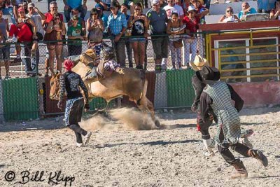 Bull Riding, Cuban Rodeo 7
