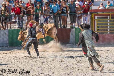 Bull Riding, Cuban Rodeo 6