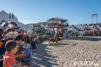 Bull Riding, Cuban Rodeo 8