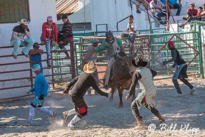 Bull Riding, Cuban Rodeo 9