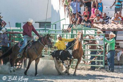 Steer Wrestling, Cuban Rodeo  5