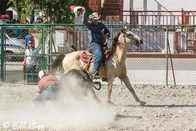 Steer Wrestling, Cuban Rodeo  7