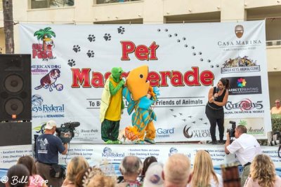 Pet Masquerade, Fantasy Fest  2015  248