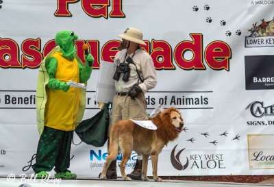 Pet Masquerade, Fantasy Fest  2015  252