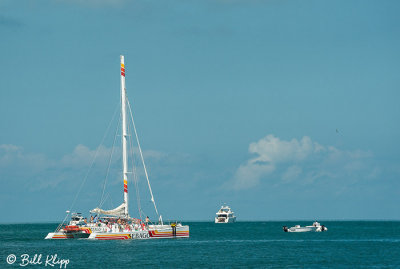 Key West Powerboat Races  252