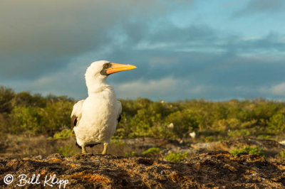 Galapagos Islands 2015