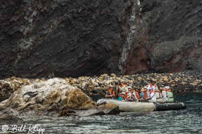 Zodiac, Isabela_Island 1