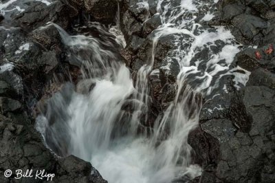 Water Hole, Puerto Egas  1