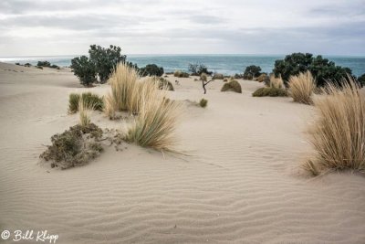 Dunes, Peninsula Valdes  4