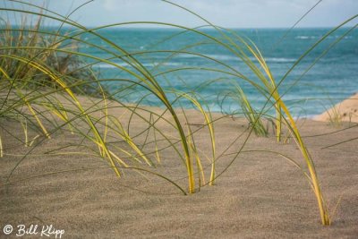 Dunes, Peninsula Valdes  8