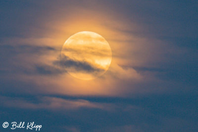 Full Moon, Disco Bay 1
