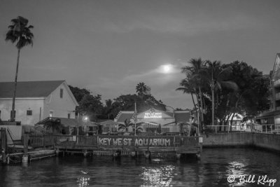 Key West Aquarium  1