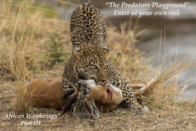 “The Predators Playground” – Enter at your own risk