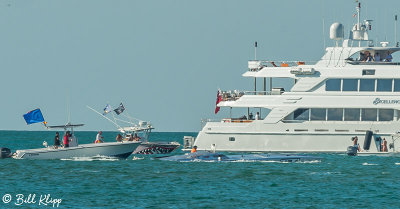 Key West Powerboat Races 327