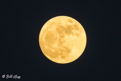 Super Moon,  Key West  3