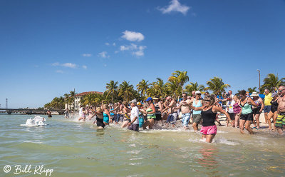 Key West Polar Bear Plunge  3