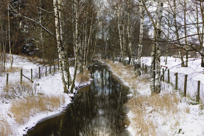 Igelbcken