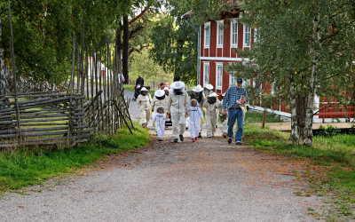 honungens_dag_130901_N1R3462